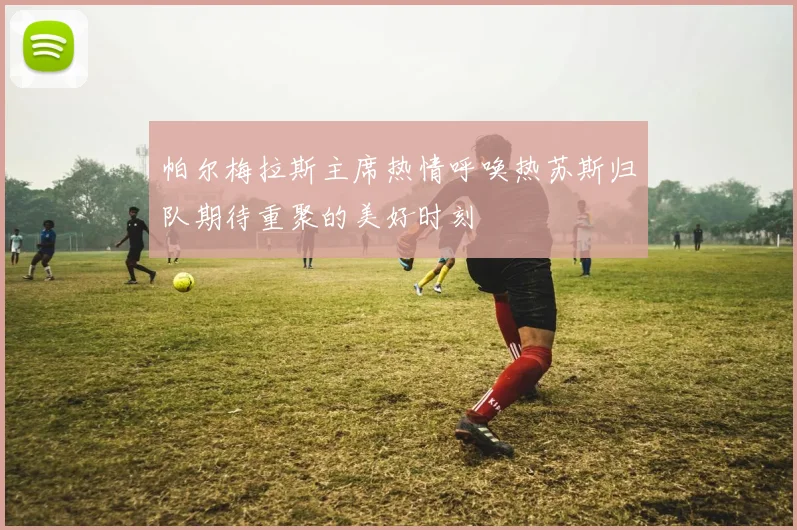 帕尔梅拉斯主席热情呼唤热苏斯归队期待重聚的美好时刻